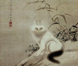 琉球の猫(マヤー)